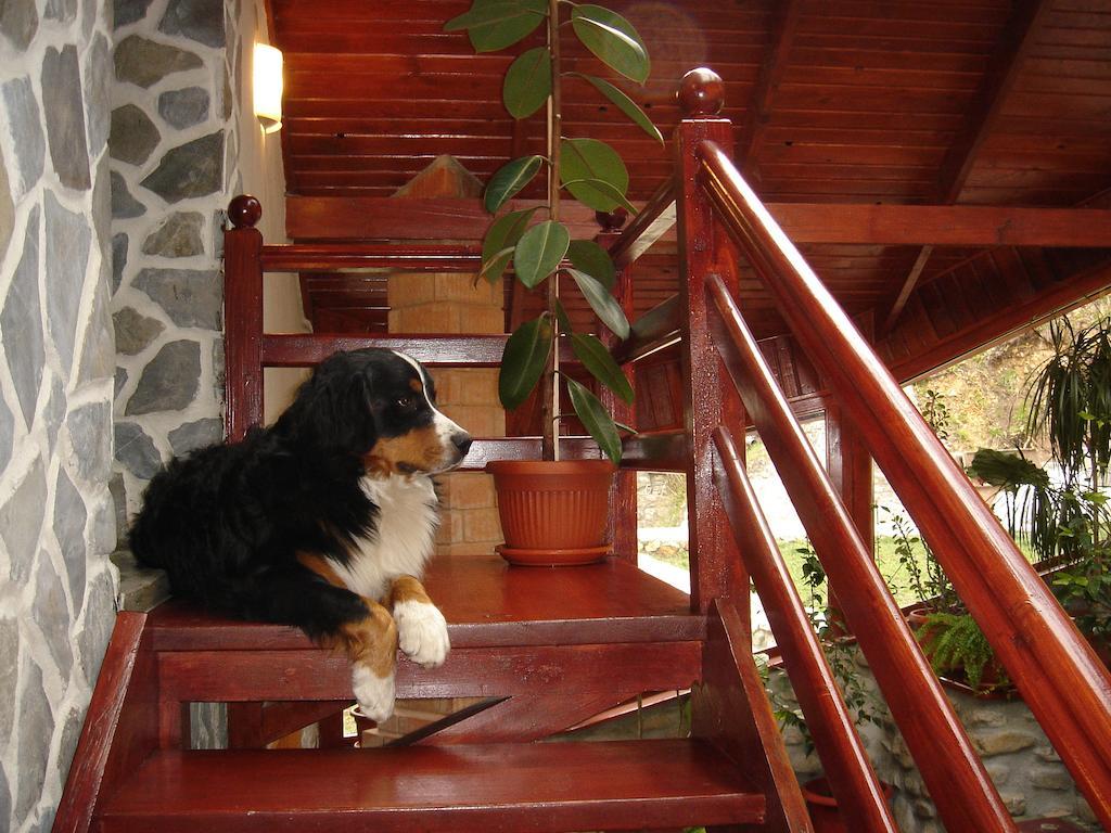 Rem'S Pension ริชนอฟ ภายนอก รูปภาพ